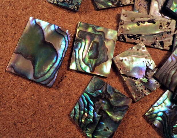 Paua_02